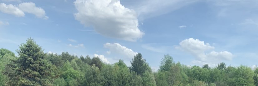 _hippyskippy's profile banner image