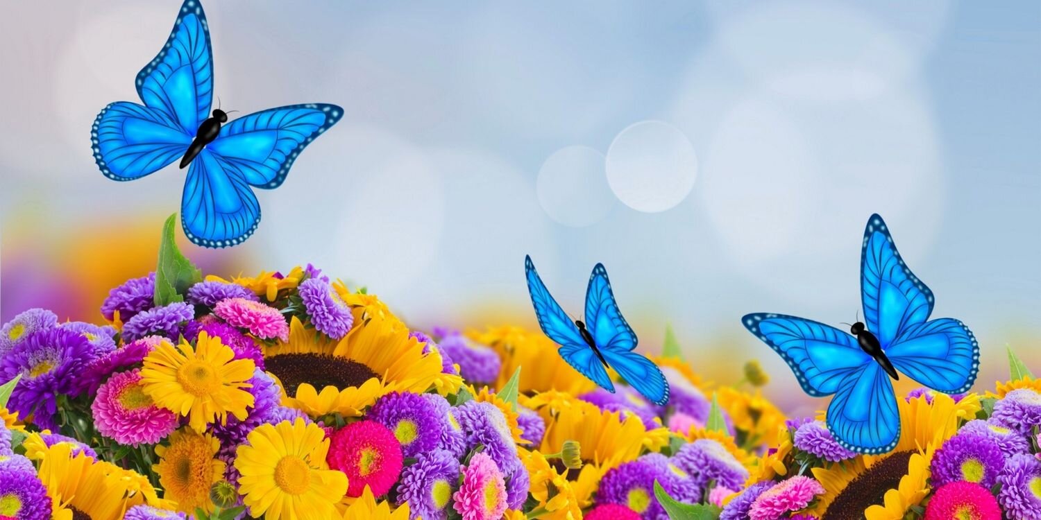 josefa820's profile banner image