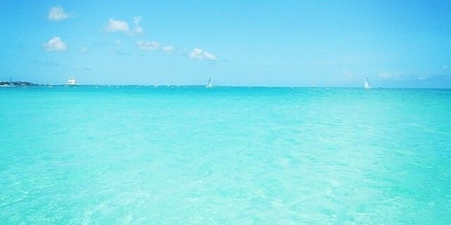 jocelynmonge's profile banner image