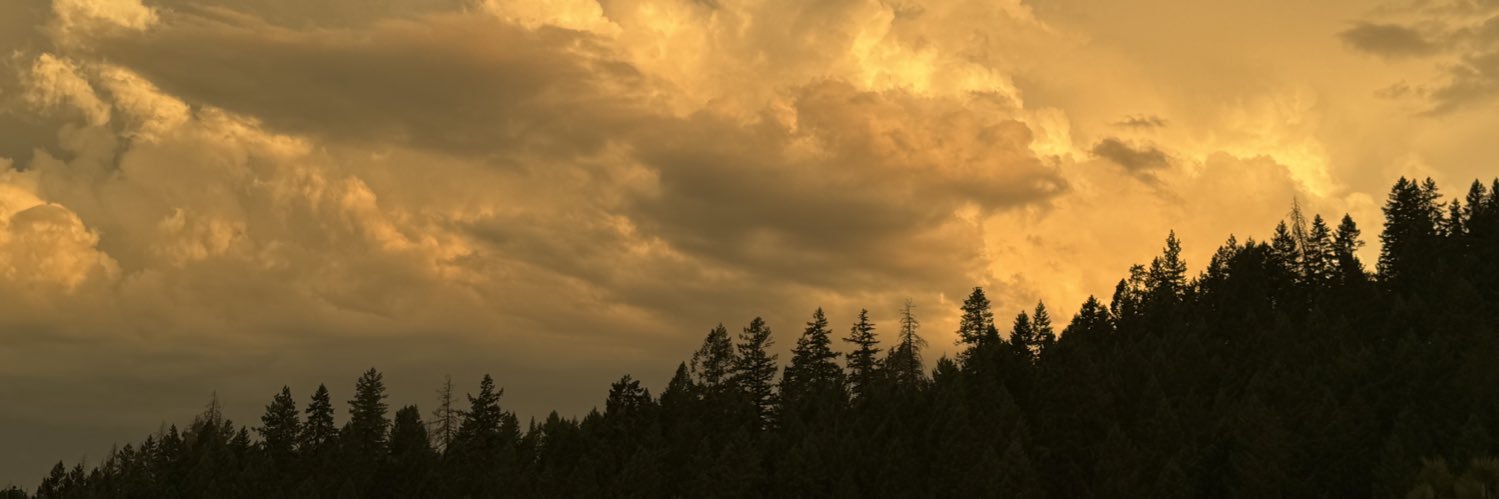 MaryChumash's profile banner image