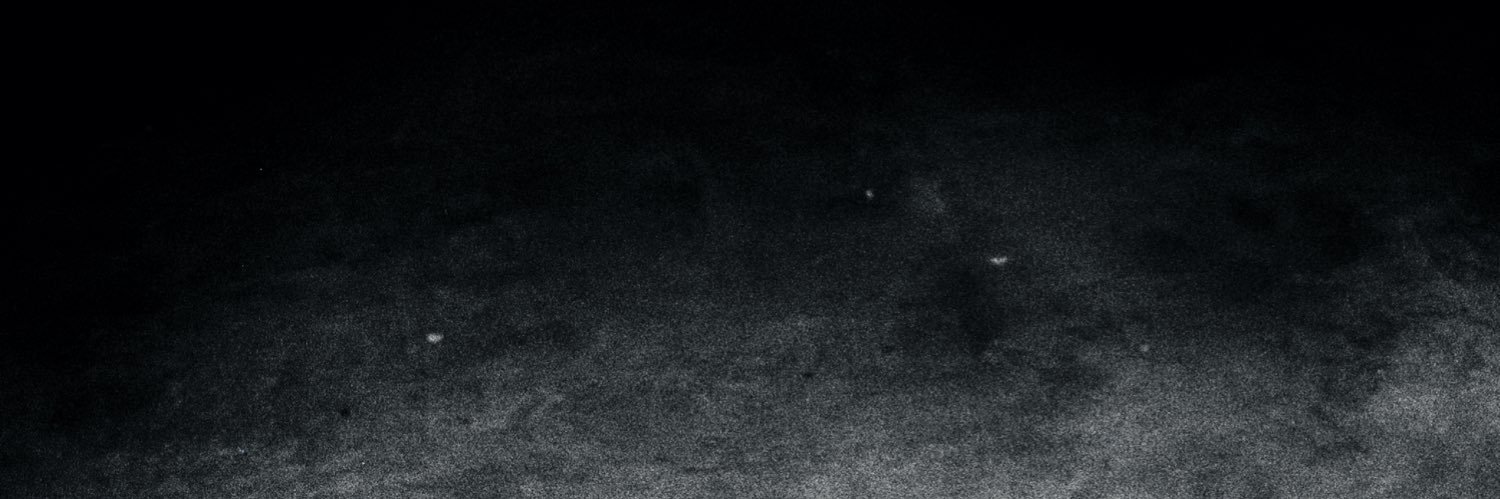 backjergin's profile banner image