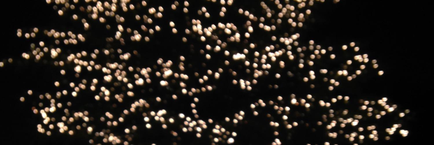 MaryClairePerry's profile banner image