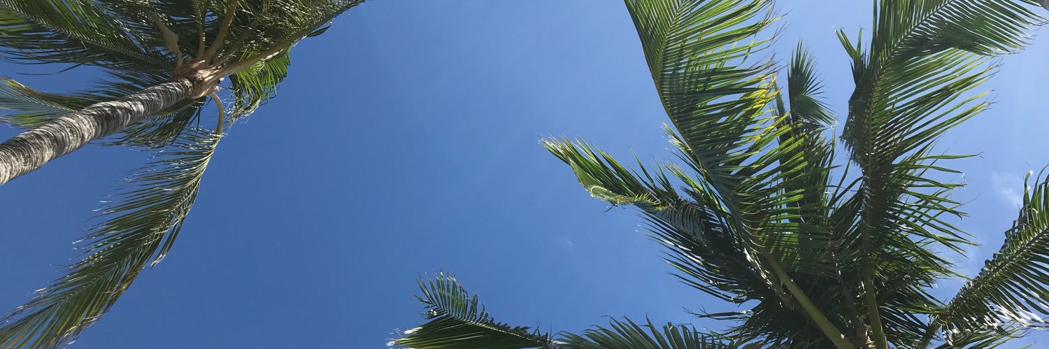 smsinclair's profile banner image