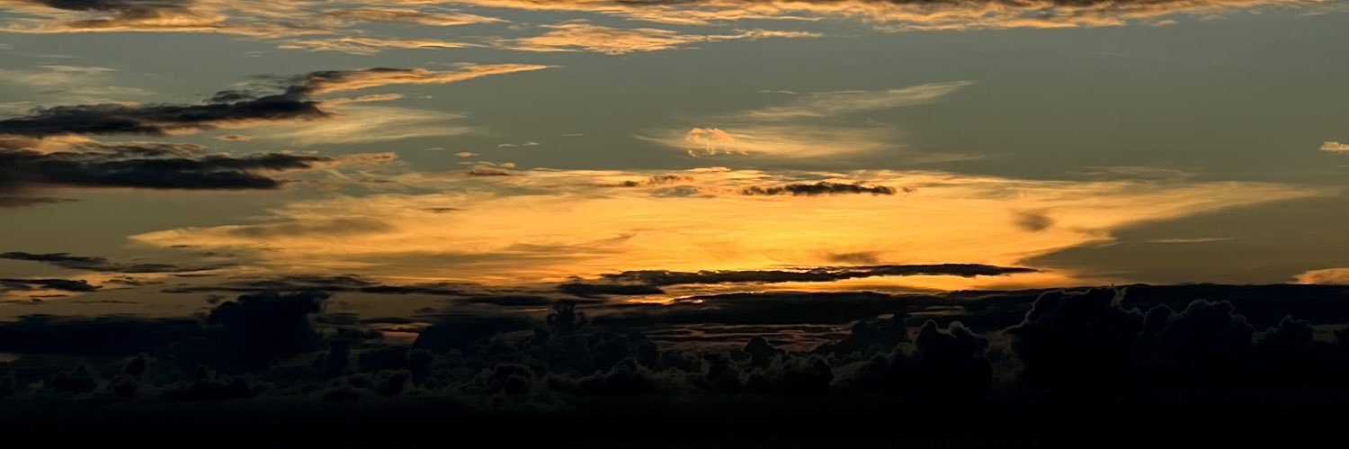 thebelleee's profile banner image