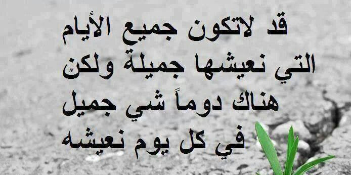 shefaazzt_shefa's profile banner image