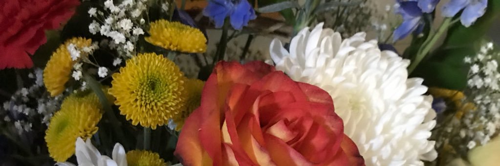 TrishAumann's profile banner image