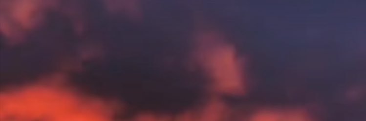 AlinkaIl4enko's profile banner image