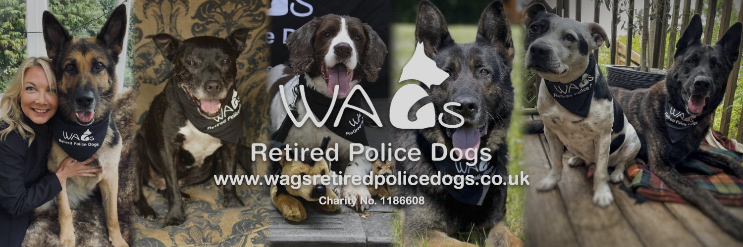 999WAGS's profile banner image