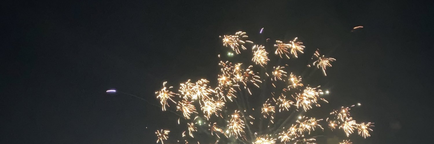 petetheterrier's profile banner image