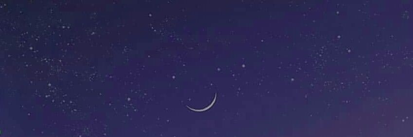 bellissimoshop's profile banner image