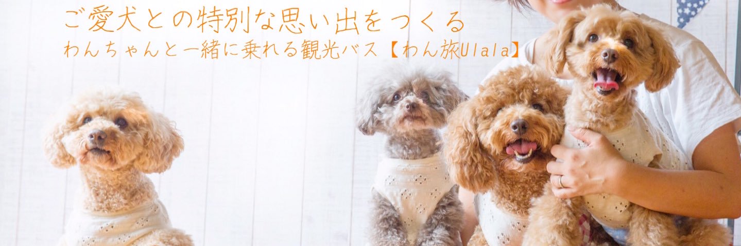ulala789's profile banner image