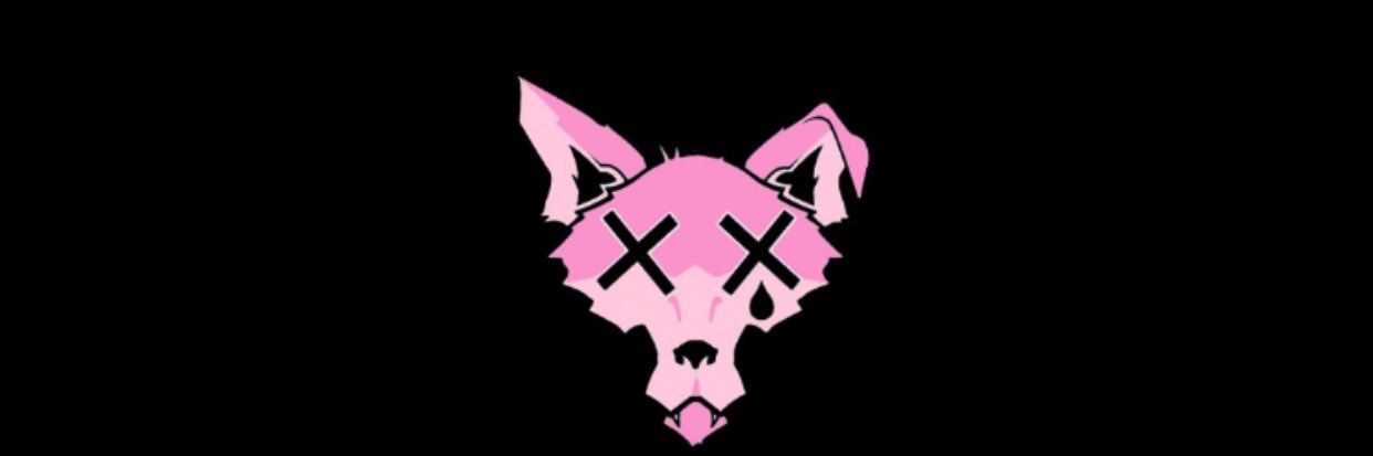 COASTLWOLF's profile banner image