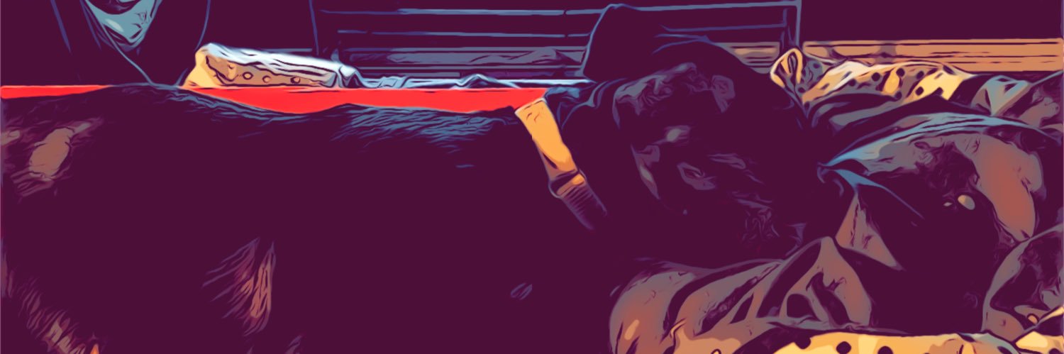 Lindzamoe's profile banner image