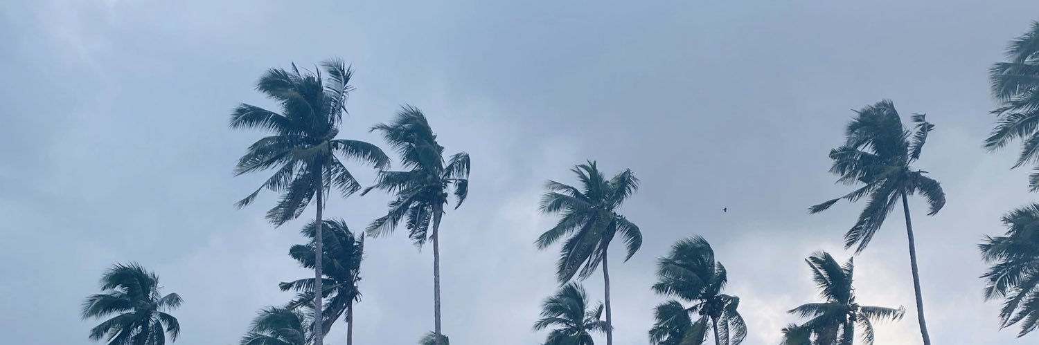 rawrrreece's profile banner image