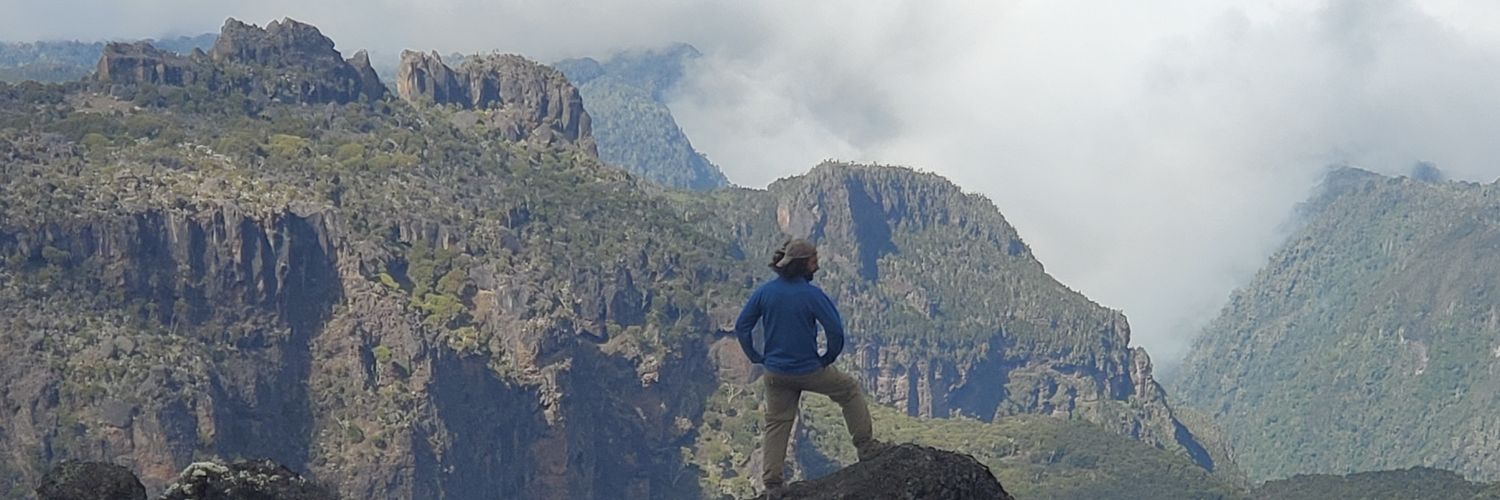 SeismoStats's profile banner image