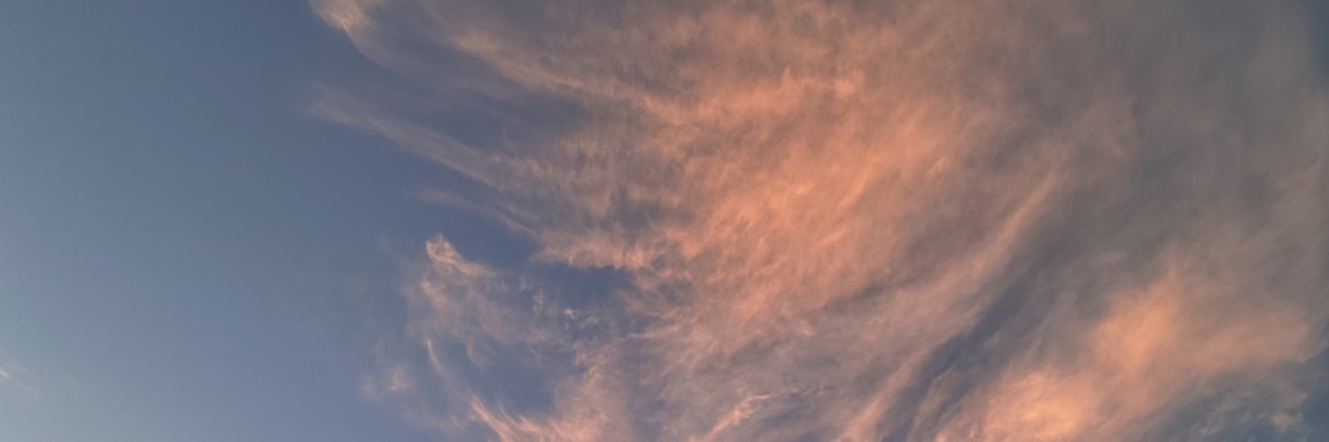 Al3XDMartinez's profile banner image
