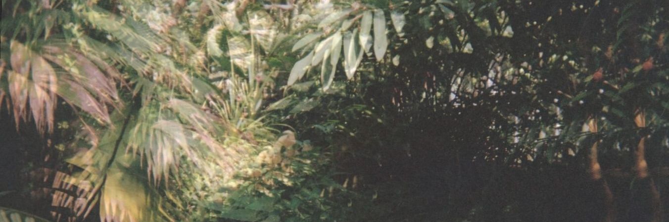 Kat banner