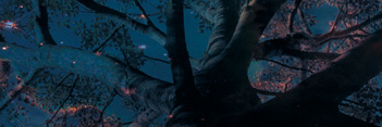 algolcoffin's profile banner image