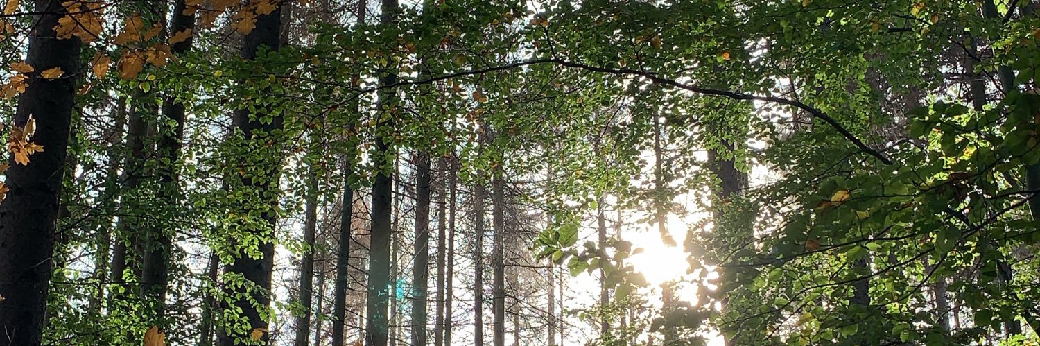 Unger57's profile banner image