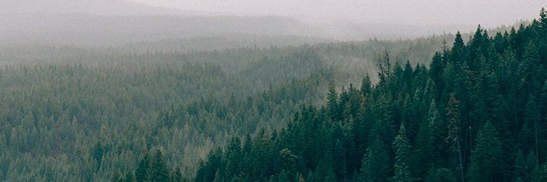 InBloom_8's profile banner image