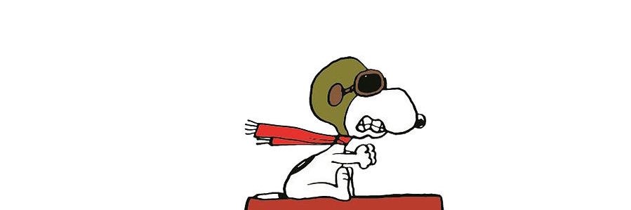 ryanholdthebev's profile banner image