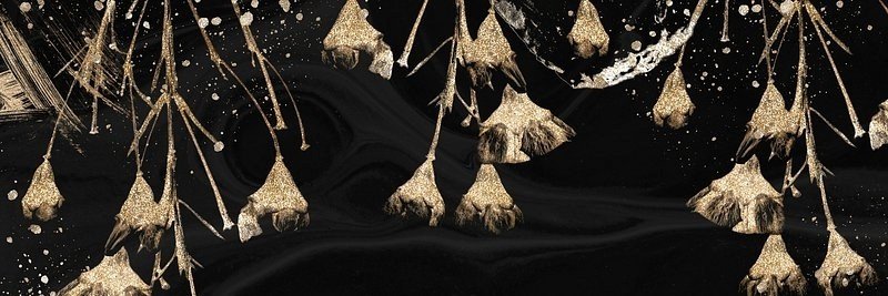nianimg's profile banner image