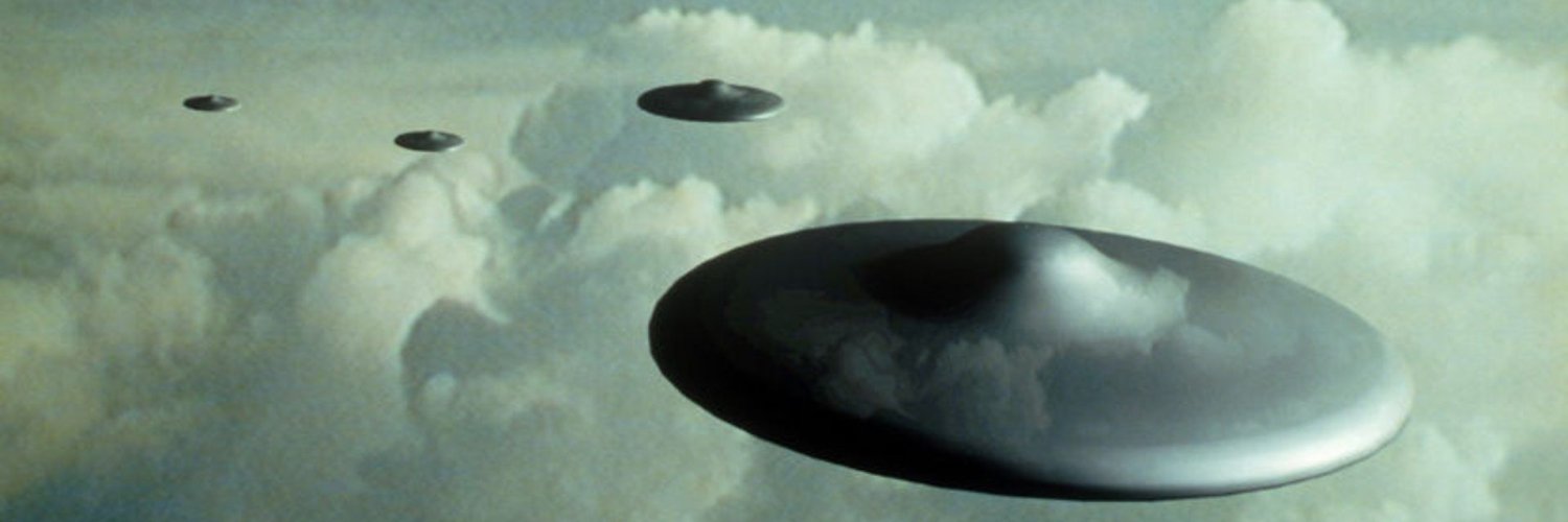 oskarpimlott's profile banner image