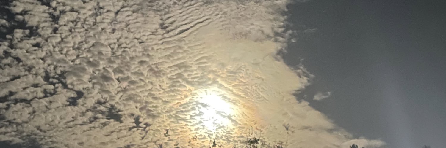 RMLee85's profile banner image