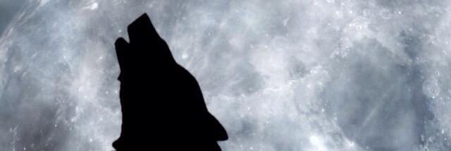 Indrapriibi's profile banner image