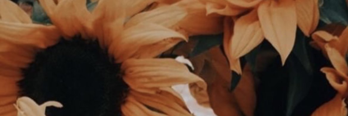 rika_h0810's profile banner image