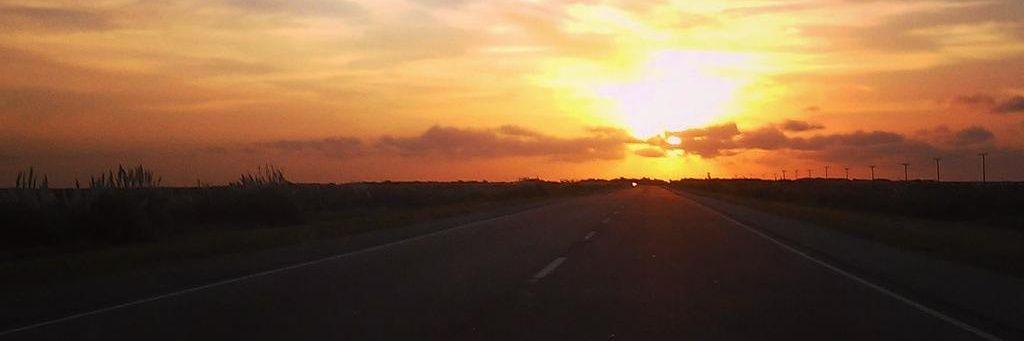 FLORVILI's profile banner image