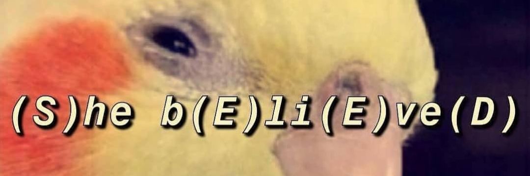 sandogz's profile banner image