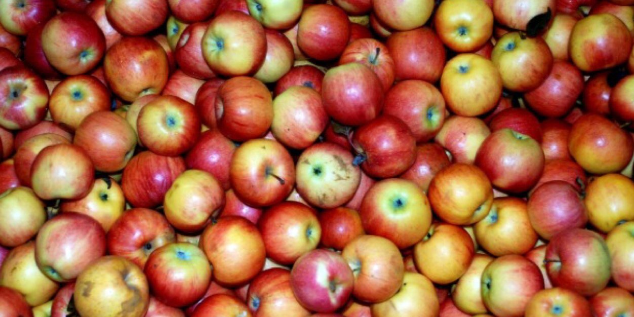 CHS_apples's profile banner image