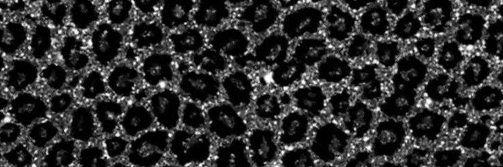 1ksa1230's profile banner image