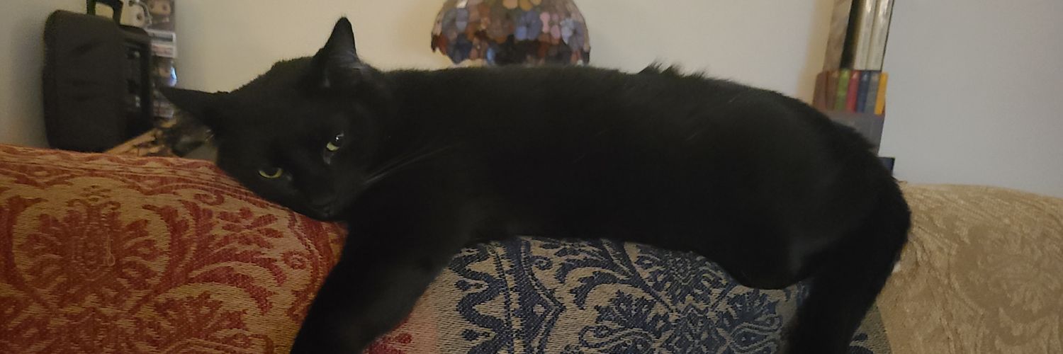 IncognitoZombie banner