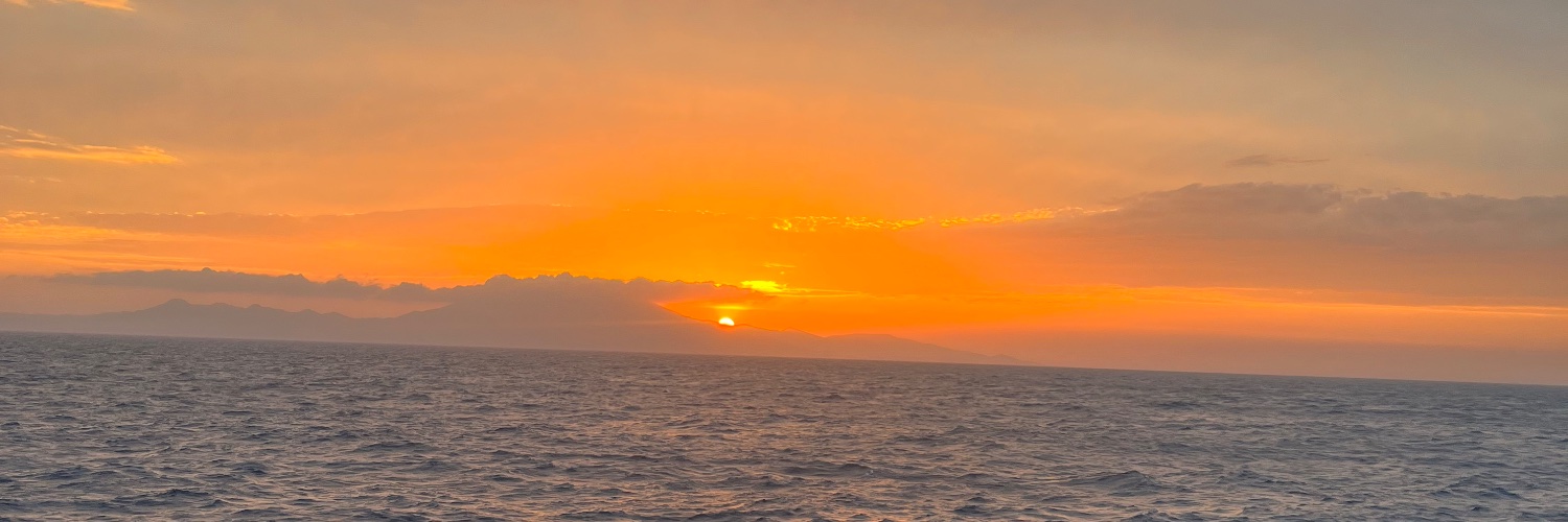 ferlamota's profile banner image