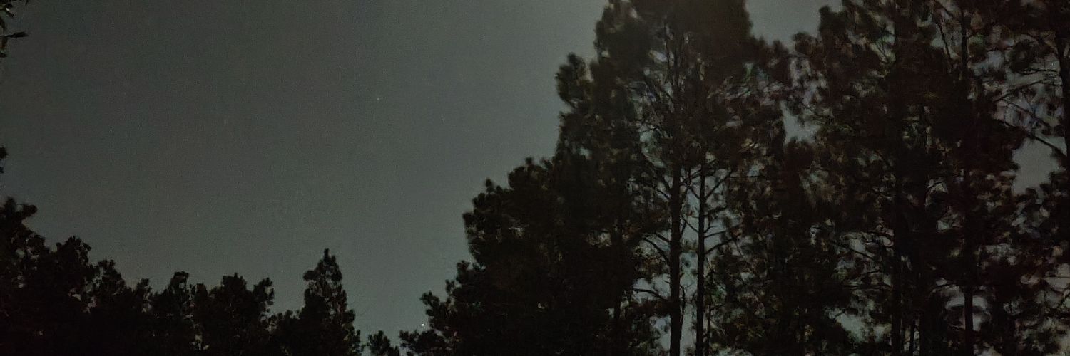 AlversonLewis's profile banner image