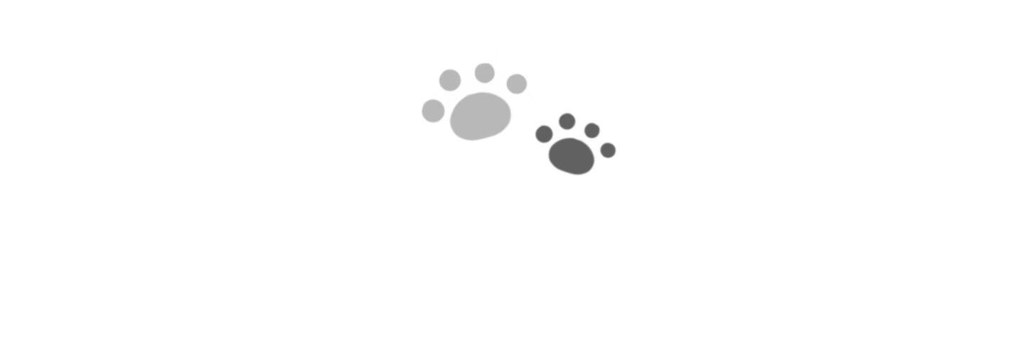 marnie2107's profile banner image