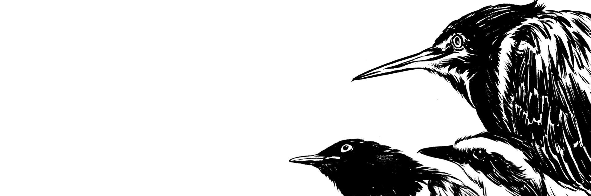 hamiltonmathias's profile banner image