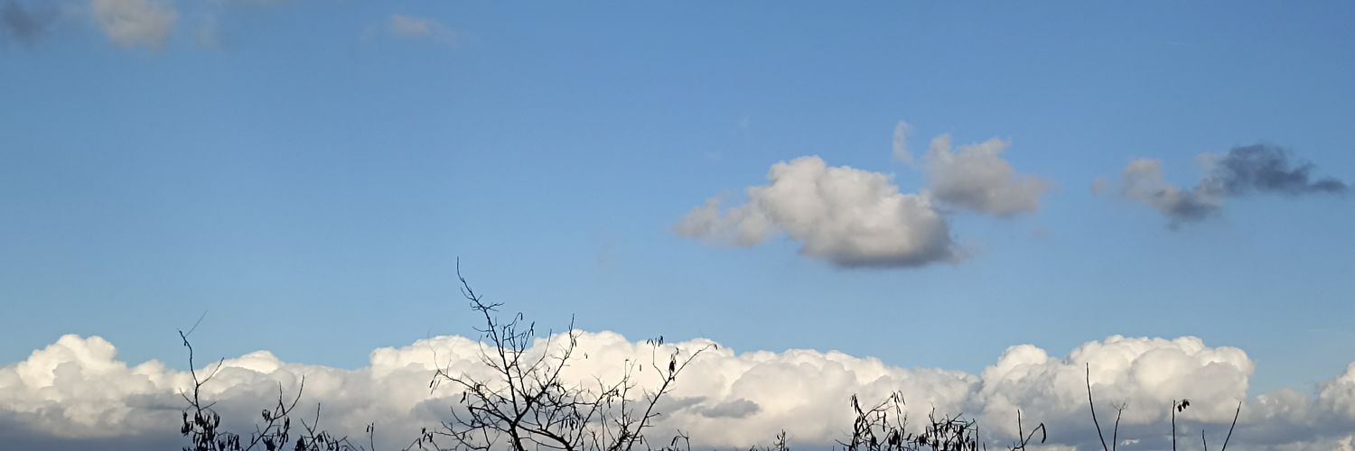 dora_antonini's profile banner image