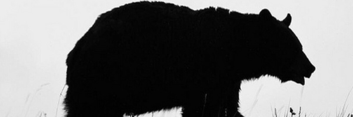 JeanCoBand's profile banner image