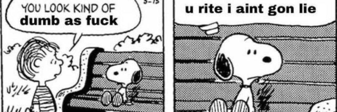 craic banner