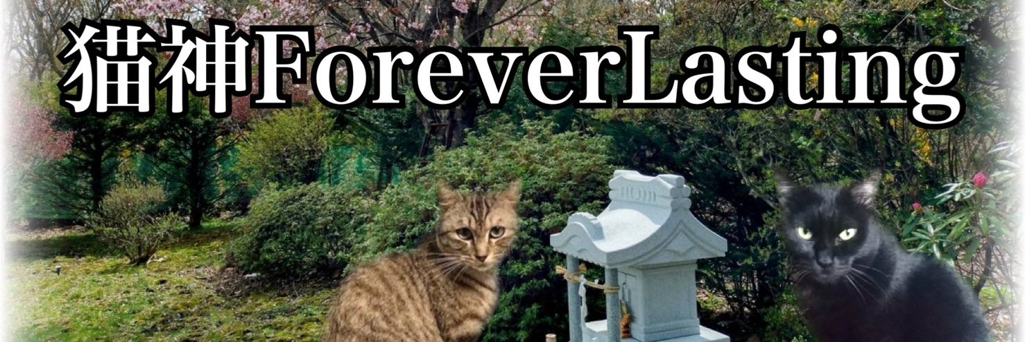 ForEverlastingL's profile banner image