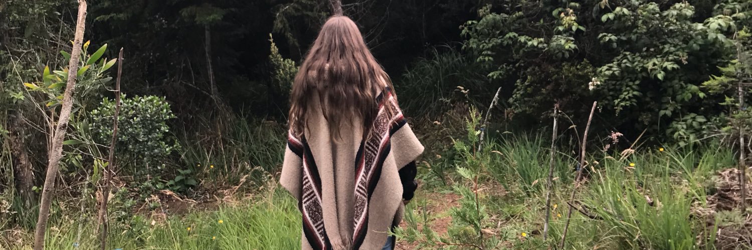 bernardagc's profile banner image