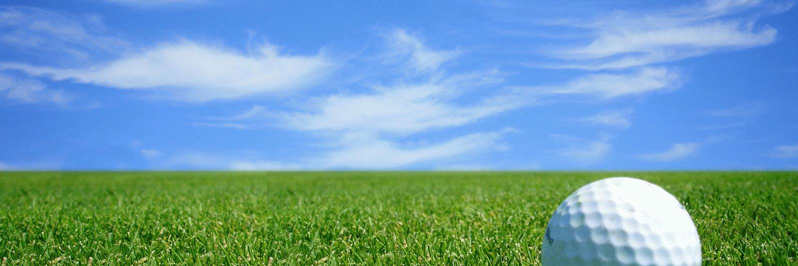 GOLF_ADDITIONS's profile banner image