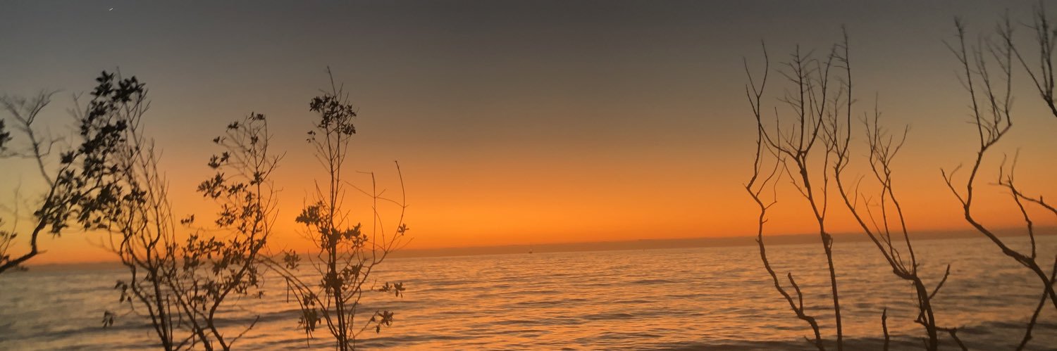 satisfiedsyd's profile banner image
