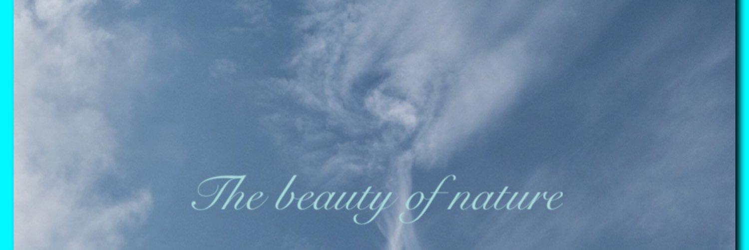 Lady-Anna banner