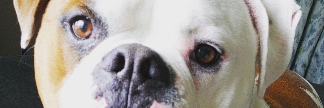 JordynRahn's profile banner image