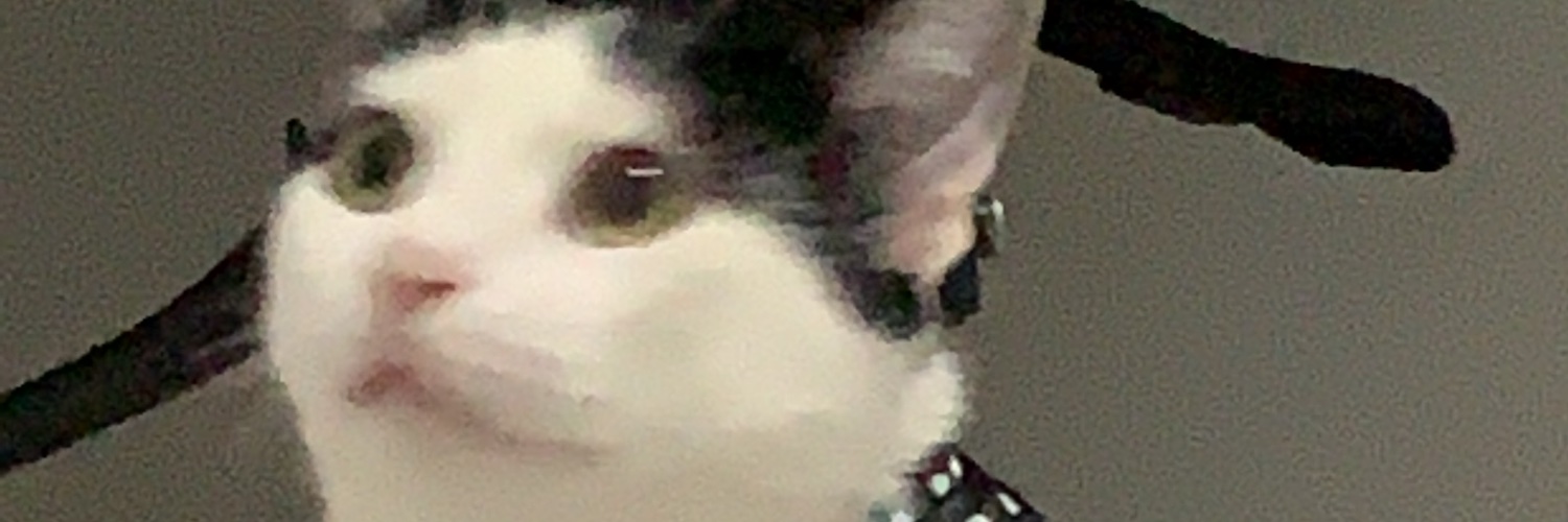 theoverdreamer's profile banner image
