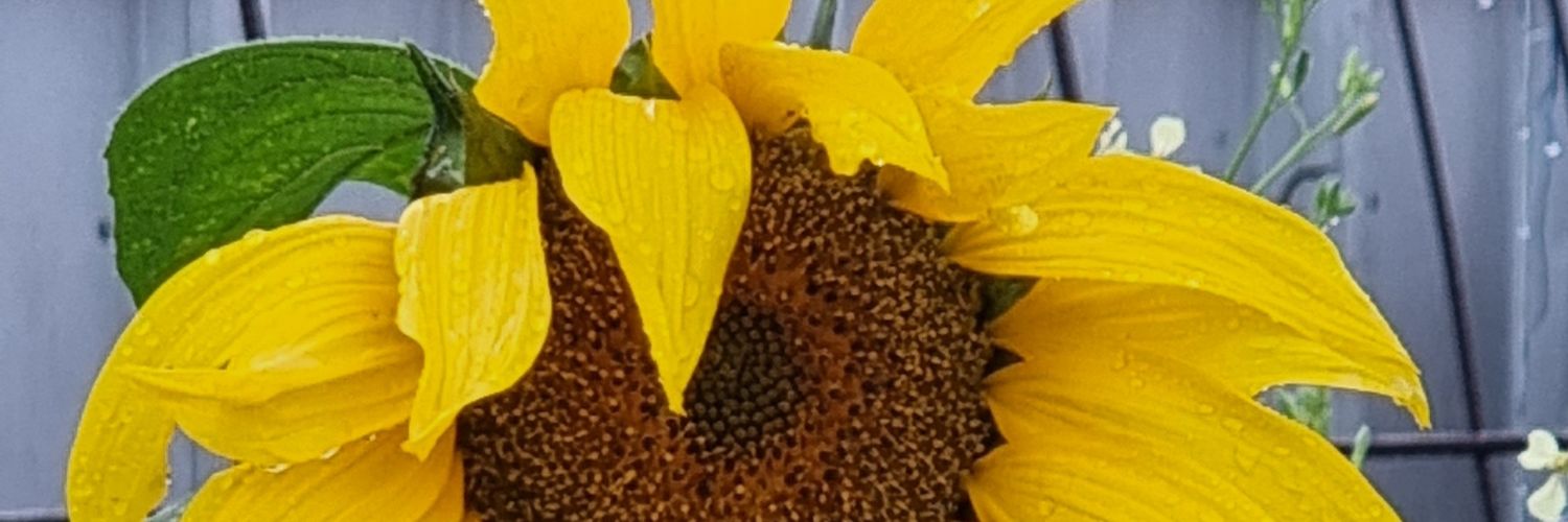 SalonTracey's profile banner image